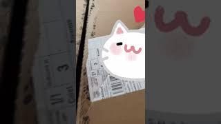 Unbox Foldy’s zooplus order with me #cat #scotish #zooplus