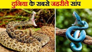 दुनिया के 5 सबसे जहरीले सांप | Most Venomous Snakes in the World