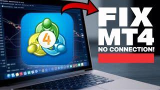 How to Fix MetaTrader 4 No Connection Error | MT4 No Network & Internet Connection Solution