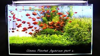 CLASSIC PLANTED AQUARIUM Update | Aquascaping