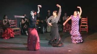 Flamenco Dance: Tarde Andaluza