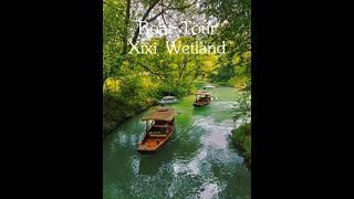 5 Must Do Things in Hangzhou (China)  #China #hangzhou #shorts #travelchina
