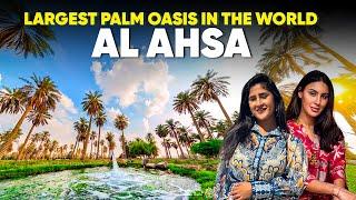 Exploring Al Ahsa: The World’s Largest Palm Oasis in Saudi Arabia | Mashable ME