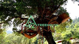 Tour an epic O2 Treehouse in Healdsburg CA