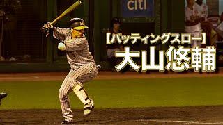 阪神・大山悠輔選手【スローで見るプロのバッティングフォーム】