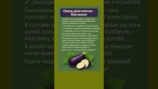 Овощ долголетия - баклажан