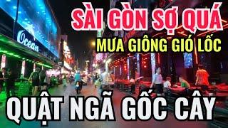 SÀI GÒN MƯA MỊT MÙ GIÔNG LỐC QUẬT NGÃ BẬT GỐC CÂY | NGƯỜI LÃNH CƠM ĐÂU BIẾT LÀM SAO CÓ TIỀN PHÁT CƠM