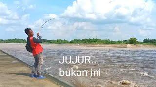 NGERI...setiap tarik dapat ikan 10 kg || ikhtiar mancing im