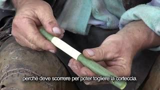 Video 18/19 Steinegg - Collepietra