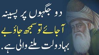 Rumi Quotes | Urdu Quotes | Motivational Quotes | True Lines | Inspirational Quotes | Husn e Alfaaz