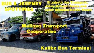 Jeepney & Bus Spottings at Kalibo, Aklan Transport Terminal