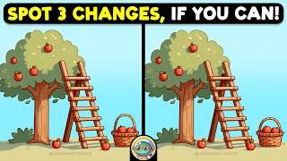  Find The Difference | Puzzle Masters Only  | Quizonaut Turtle