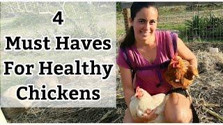 Keeping Chickens? 4 Must Haves For Healthy Chickens!