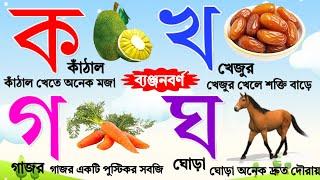 বাংলা ব্যজ্ঞনবর্ন ক খ গ ঘ | Learn Bengali Alphabet Banjonobarno |ক কাকাতুয়া খ খরগোশ | kkhggha