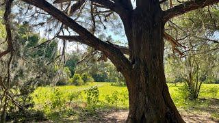 Hiking at Half Moon Wildlife Management Area