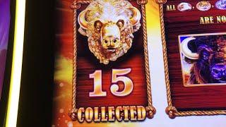 Buffalo Gold - 15 HEADS FINALLY!!!MASSIVE JACKPOT!!!