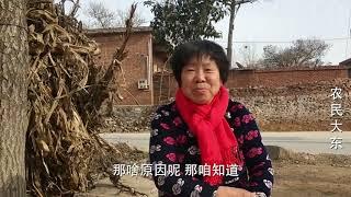 农村有房有车还帅为啥还娶不到媳妇 大娘一句话说透 你觉得对吗