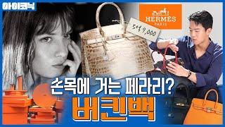 가방이 5억 9천만 원? 에르메스 버킨백 가격이 미친 이유  | 소비더머니 아이코닉