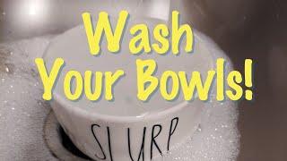 Pet Care Tips: WASH YOUR PETS BOWLS!!