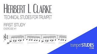 Clarke Technical Studies, First Study Ex 001