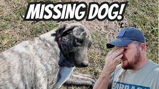 EMOTIONAL VIDEO | Guard Dog Kora LEFT The Farm | This Changes The Future of Our Farm