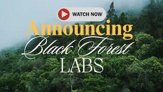 FLUX.1 AI: Black Forest Labs