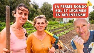 Bienvenue à la ferme Rongo - Production de légumes inspirée du modèle JM Fortier