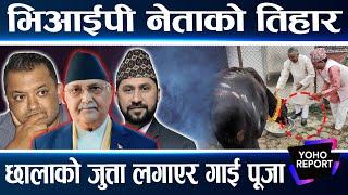 राष्ट्रपतिको गाई पूजा आलोचित, प्रचण्डको देउसी डान्स, बाबुराम फिल्म हेर्दै, अरुले कसरी मनाउँदैछन् ?