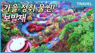 굽이굽이 단풍길 '울긋불긋' 가을 정취 물씬! 단양 보발재 전망대,#보발재 전망대,#보발재, #단양가볼만한곳, 만추의 절경 뽐내는 단양 '보발재' 관광사진 대상 받았던 이 곳!!