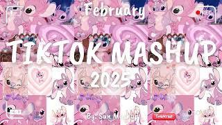 Tiktok Mashup February 2025 (Not Clean)