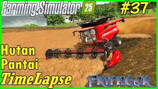FS25 Timelapse, Hutan Pantai #37: Cutting The Canola!