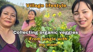 Went to collect local veggies from mountain forest with mom @ModeBomnyo village Arunachal Pradesh