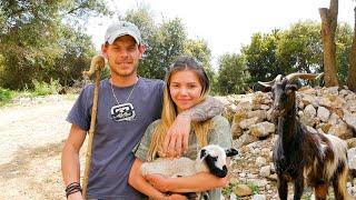 They left the city to become farmers in the village