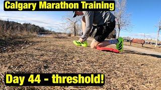 Calgary Marathon Training Vlog || Day 44 SUPERSHOE Testing