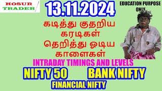 Nifty Prediction for Tomorrow in Tamil  13.11.2024 | Options Intraday Trading Analysis