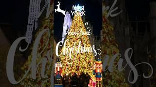 NYC Christmas 2024 in New York  Lotte New York Palace  5th & 6th Ave Holiday Cheer  #christmas