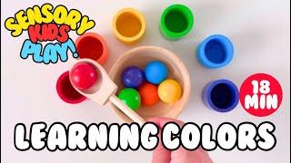 Learning Colors for Toddlers!  Educational and Sensory Play for Kids of all Learning Styles