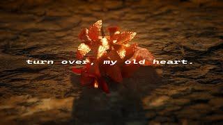 turn over, my old heart. #PTRealism