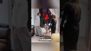 This dog stops his human parents from arguing ️