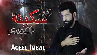 Hogaye Azad Qaidi - Noha Arbaen 2023 - Aqeel Iqbal