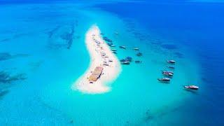 Explore zanzibar island | nakupenda sandbank | paradise of Africa