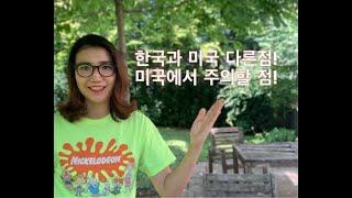 미국과 한국의 다른점! 미국에서 주의할 점!