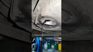 Обслуживание вариатора на Тойота Королла. Замена масла в вариаторе в Техцентре Коуш.