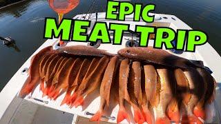 It was PERFECT!!! We LIMITED OUT in just 2 Hours *** EPIC offshore bottom fishing in Florida