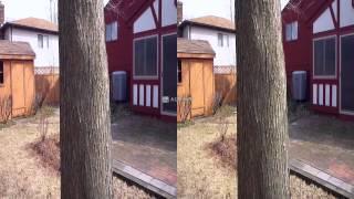 3D Test Panasonic DMC-3D1 YT3D