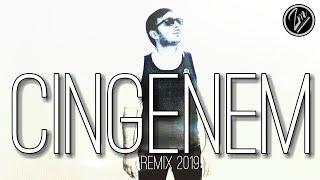 Zamiq M  - Çingenem 2019  | AZERİ Version | Remix
