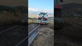 farm work in europe | Cyprus farm | diary farm work in EU 2024