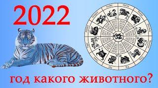 2022 - год какого животного? [по восточному календарю] Что ждать?