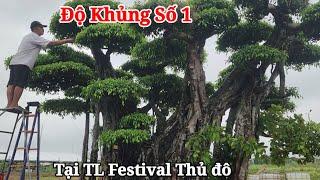 Giật mình với TP Sanh cổ vĩ đại nhất TL festival thủ đô