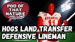 Arkansas Lands Transfer Defensive Lineman